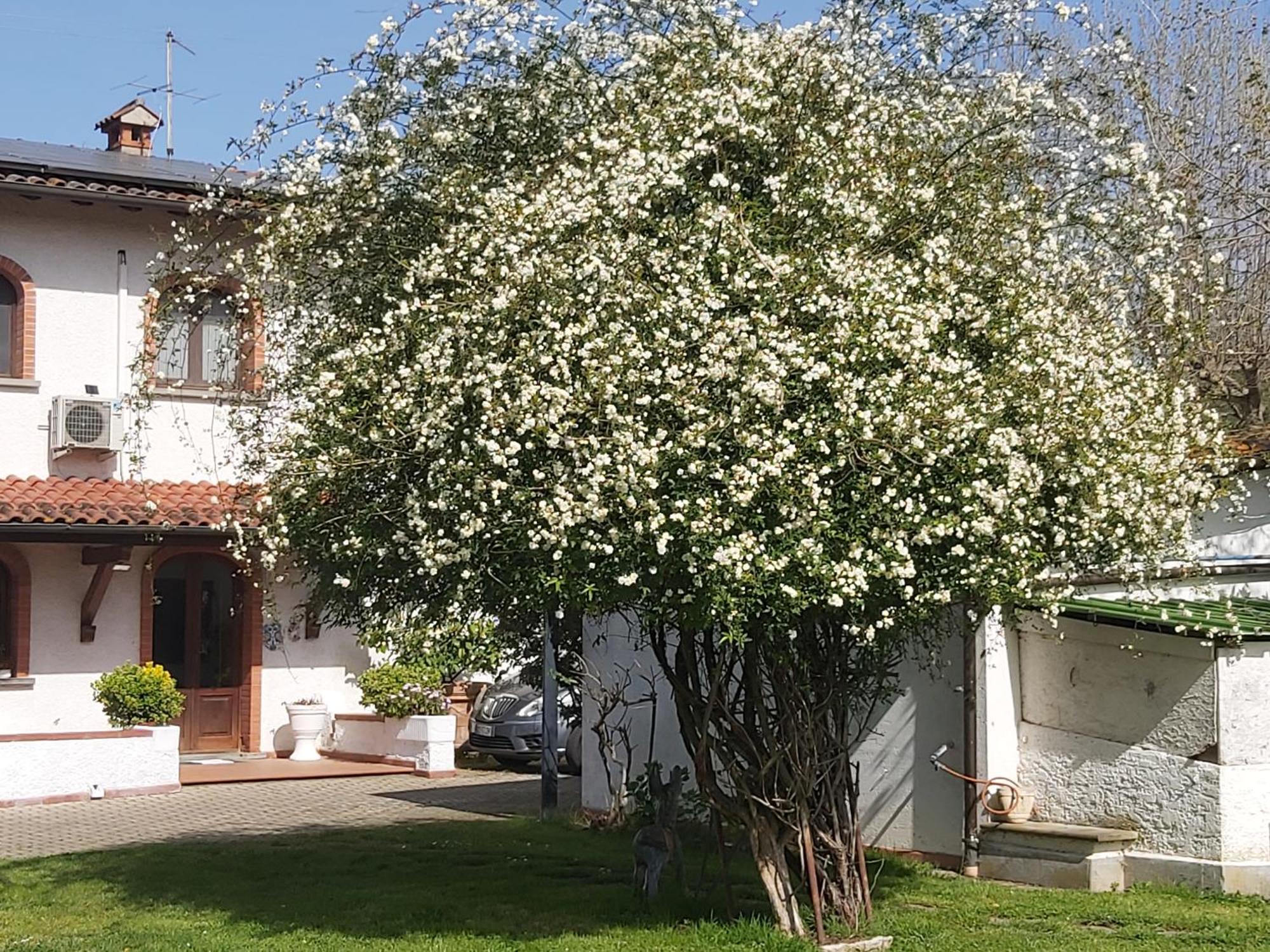 Villa Fioccomare Camaiore Exterior photo