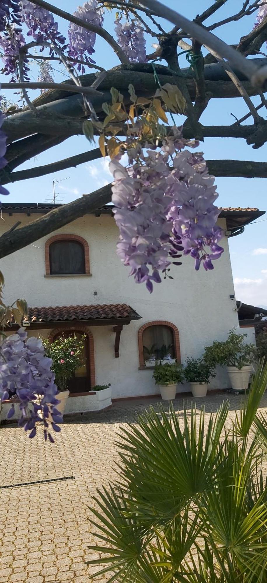Villa Fioccomare Camaiore Exterior photo